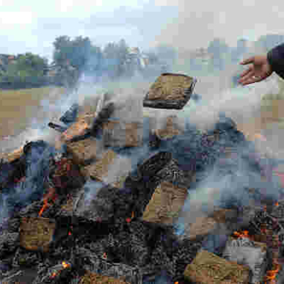 Kenyan Authorities Destroy Cocaine Worth Sh598 Million