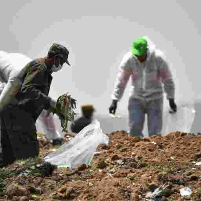 Kenyan Families of Ethiopian Crash Victims Allegedly Offered Bribes to Swap US Attorneys