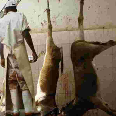 Gov’t Orders Shutdown of Donkey Slaughterhouses in Kenya