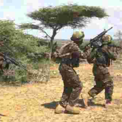 Kenyan Soldiers Kill 12 Al-Shabaab Fighters in Boni Forest