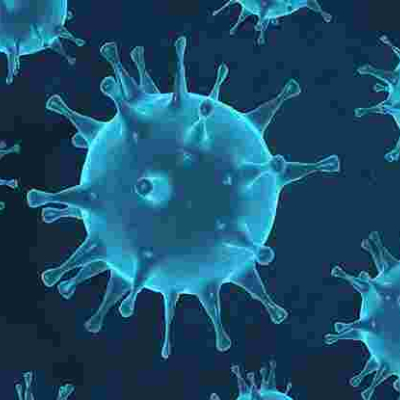 Kenya Confirms 15 More Covid-19 Cases, Tally Hits 296