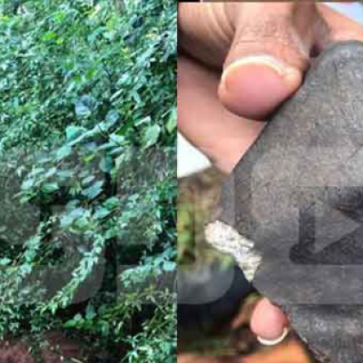 Kenyan Brothers Make Nearly Sh500,000 After Selling 6Kg Meteorite That Fell on Neighbor’s Farm