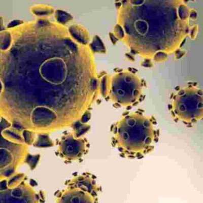 Kenya Posts Highest Single-Day Covid-19 Cases for the Second Day in a Row