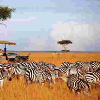 Kenya Becomes First Country Globally to Receive 'Safe Tourism Seal' Award