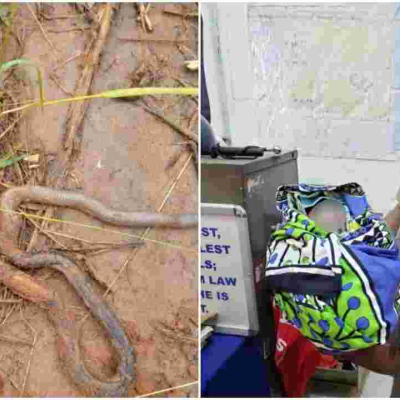 Newborn Baby Rescued Alive After Mother Dumped Him in Snake-Infested Septic Tank