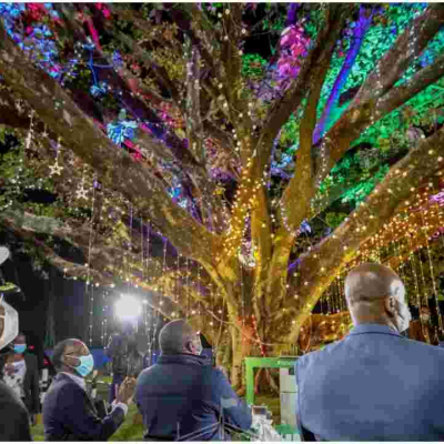 Uhuru Unveils Declaration for Preservation of the Iconic Fig Tree in Westlands, Nairobi 