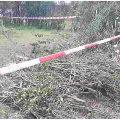 Five Children Die After Falling into Septic Tank in Ruiru 
