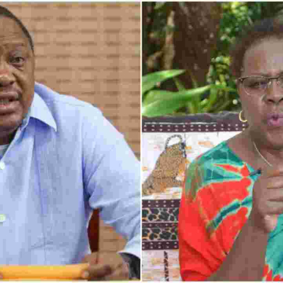 Uhuru Using BBI to Extend Stay in Power, MP Alice Wahome Says 