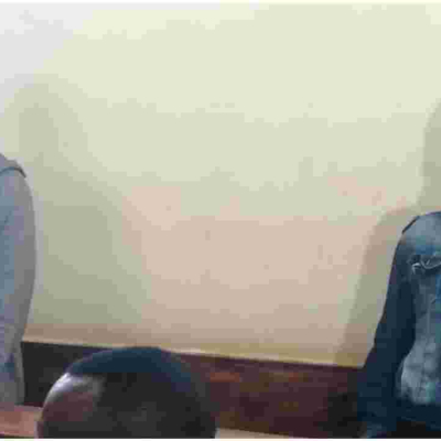 Court Detains University Student Who Confessed to Killing His Parents, Brother and Cousin 