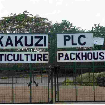 UK Company Pays 85 Kenyans Sh696 Million for Human Rights Violation 