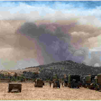 Probe Opened After 5 Elephants Killed by Fires Started by British Soldiers Training in Kenya