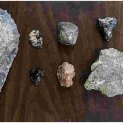 Uproar as Kenya Controversially Ships 145 Ancient Fossils to France