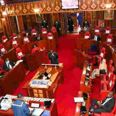 Kenyan Senators Clash over Planned Trip to the US
