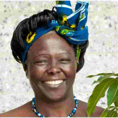 MPs Want Karura Forest Renamed After Prof. Wangari Mathai