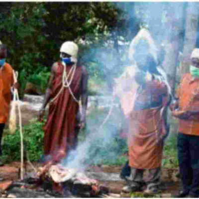  Chinese Contractor Seeks Kikuyu Elders' Help to Uproot a ‘Mugumo’ Tree Hindering Construction of Sh14 Billion Highway 