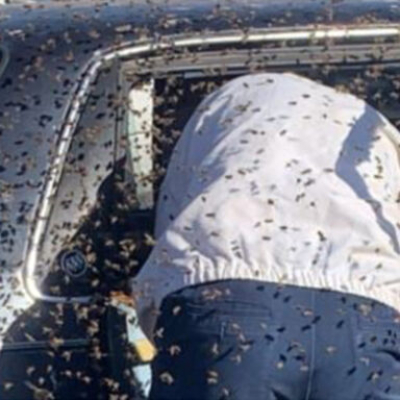 KRA Pays Tribute to its Tax Investigator Stung to Death by Bees 