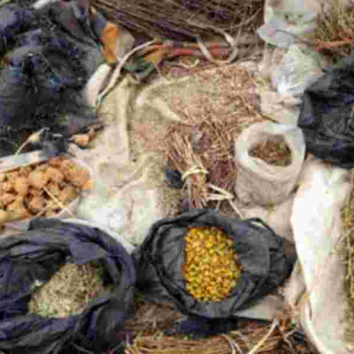 Ksh100,000 Fine For Kenyans Making Herbal Medicine Without Following Regulations