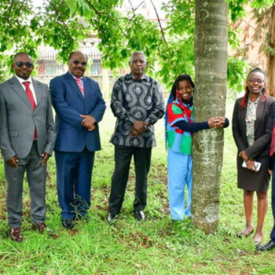 22-Year-Old Activist Truphena Muthoni Sets Out to Hug Tree for 72 Hours in Deforestation Protest