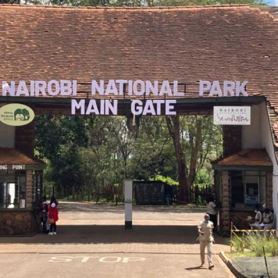 KWS Launches “Wild Scholars” Programme Offering Free Entry for Students