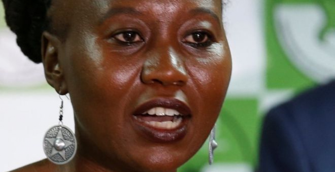 Roselyn Akombe's Exit Statement Lights 'Fireworks' at the Supreme Court
