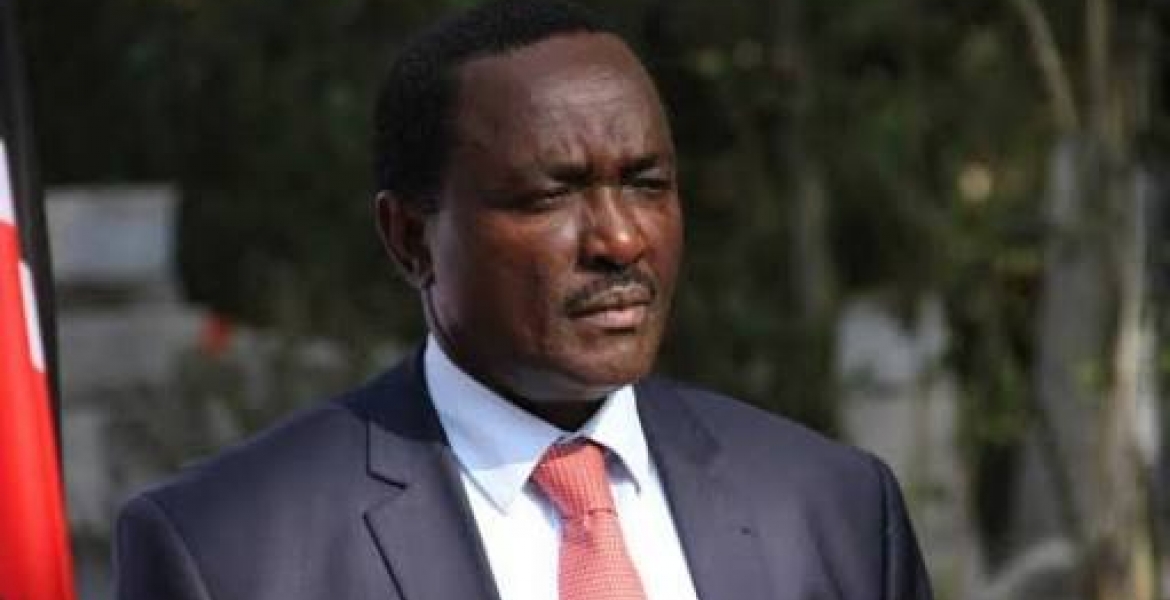 You Must Respect Kalonzo, Wiper Party Tells NASA Members