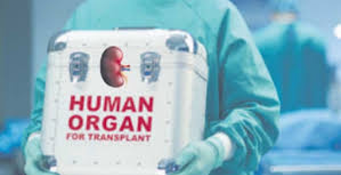 Doctors to Harvest Kidneys from Kenyans Upon Death in Proposed Bill