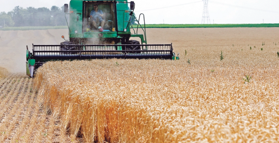 Kenya Lifts Ban on Wheat Imports from the US