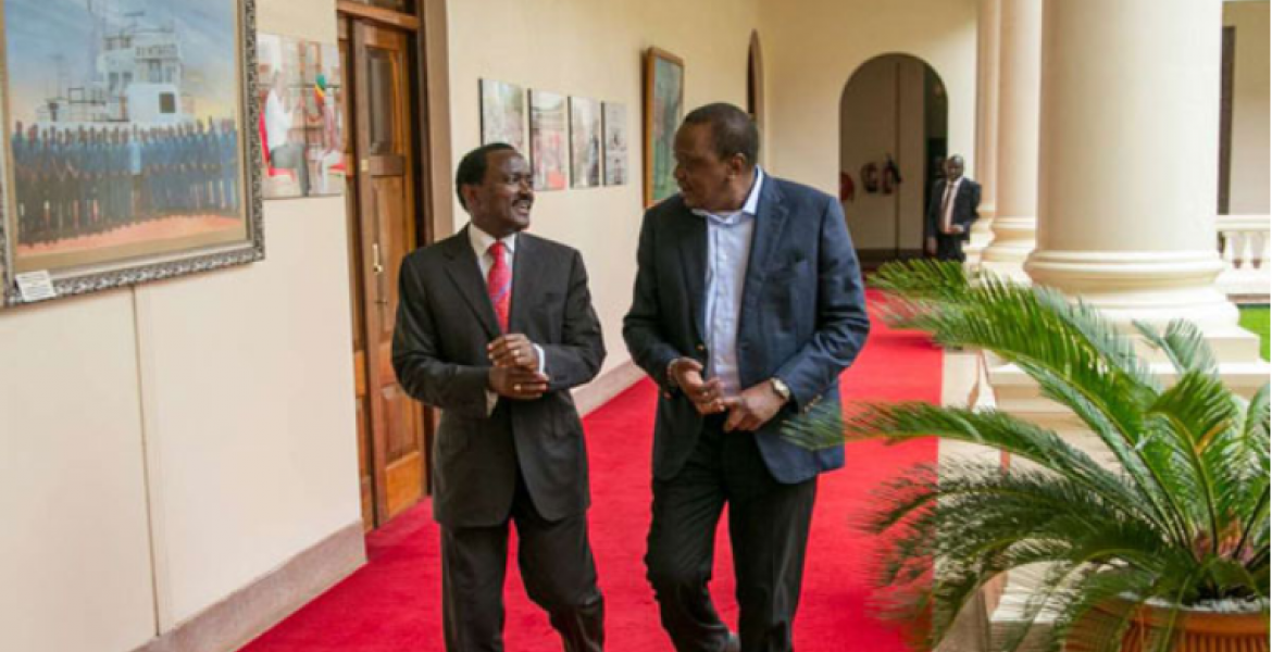Kalonzo Supporters in the UK Endorse Plans to Form Unity Government