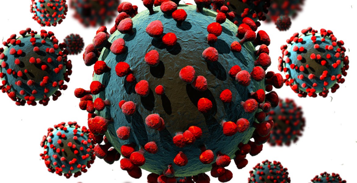 Hope as Kenya Discharges Record Number of Recovered Covid-19 Patients