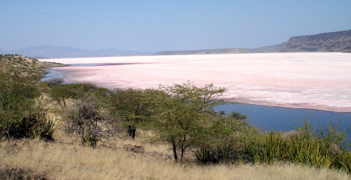 Lake Magadi, Kenya’s Only Source of Soda Ash on the Verge of Extinction