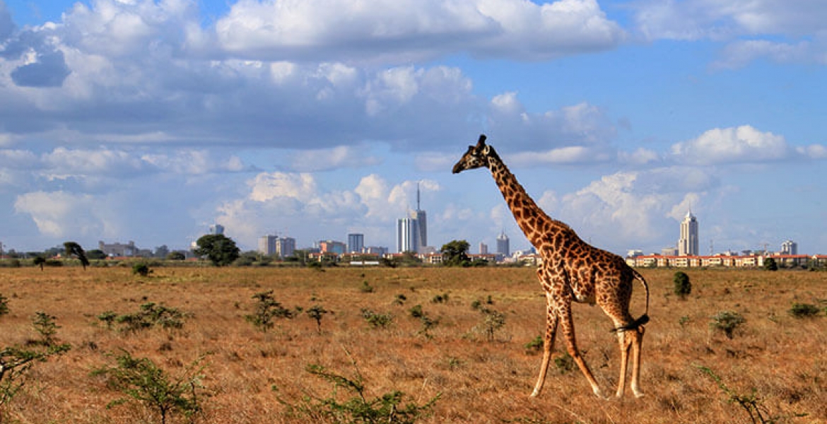 Kenya Named Africa's Leading Tourist Destination by World Travel Awards ...