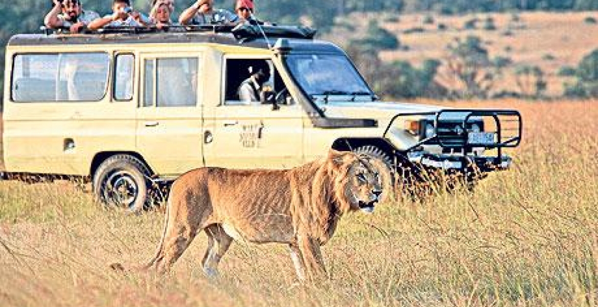 Kenya Named the World's Leading Safari Destination | Mwakilishi.com