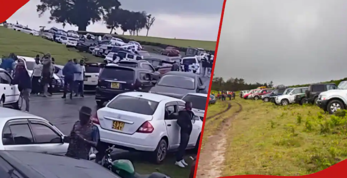 Kiambu County Bans Park and Chill Parties in Tea Farms Government Cracks Down on Immoral Parties in Kiambu Tea Plantations