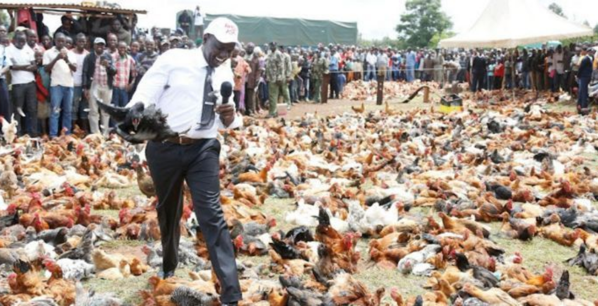 President William Ruto During the Kambi Kuku Auction inUasin Gishu county, 2018 Kenya Poultry Farmers to Pay Sh500k Fine or Risk Jail Term Under New Regulations