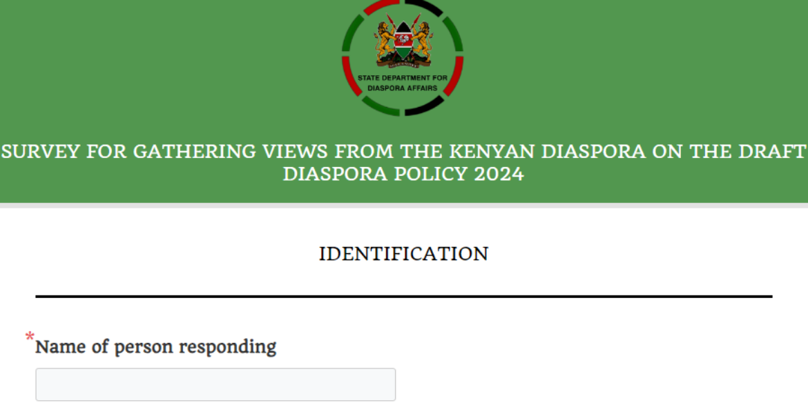 Diaspora Policy 2024 Government Seeks Diaspora Input for Investment Feedback and Policy Revision
