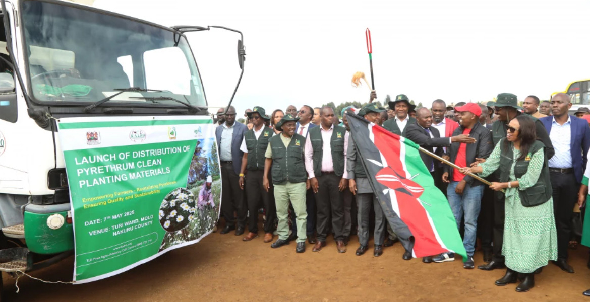 Nakuru County Governor Susan Kihika Lawsuit Alleges Governor Kihika Served as Assistant District Attorney in Texas