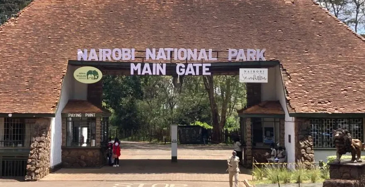Nairobi National Park Kenya Announces New Measures to Improve Access to Nairobi National Park