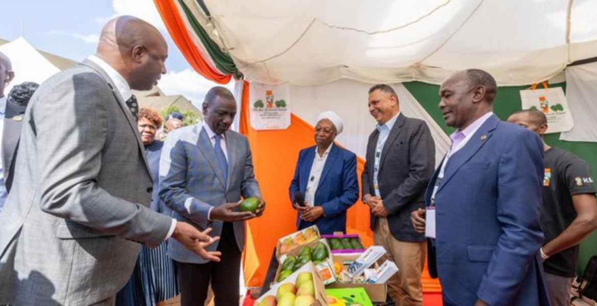 Murang'a Governor Irungu Kangata (left), President William Ruto (second left) and other attendees of the Murang’a County International Investment Conference Murang’a Tycoons Finally Channel Wealth Home After Years of Silence