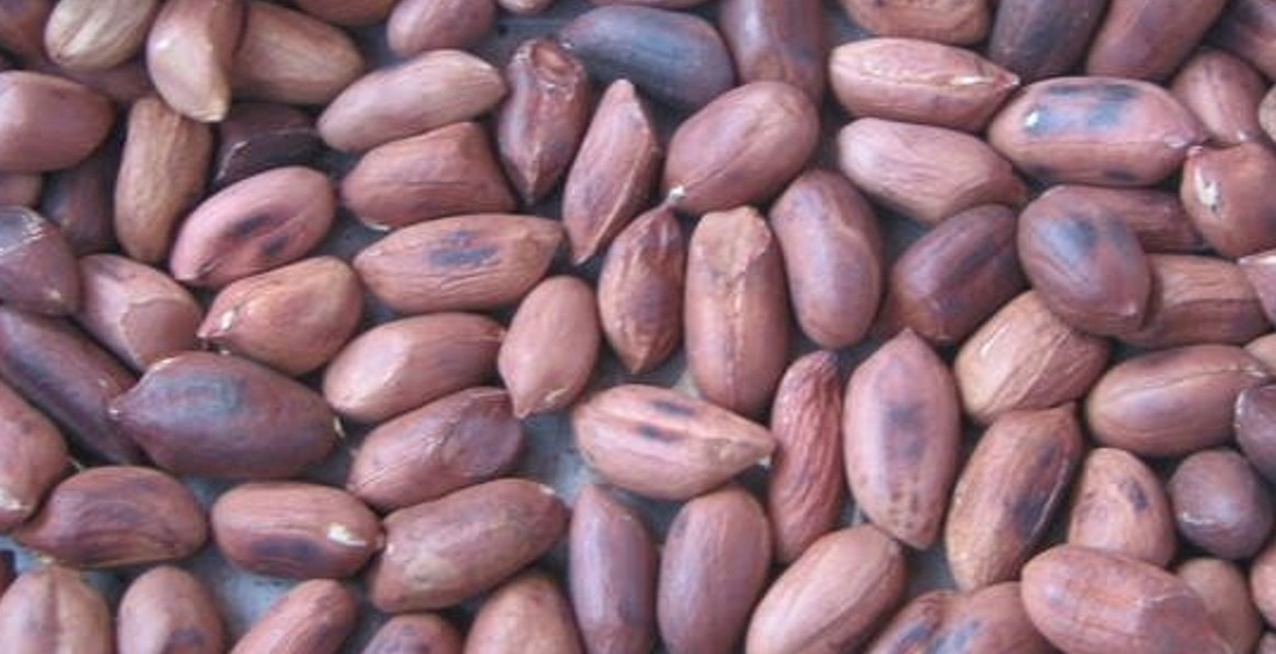 Roasted Ground Nuts KEBS Cracks Down on Uncertified Goods in Karen, Ngong, and Kiserian