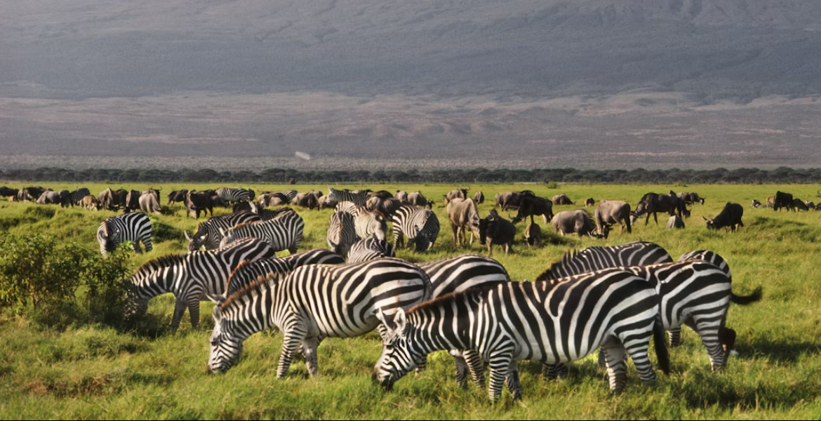 List of Proposed New Prices for Nairobi, Amboseli, Tsavo & All Other Parks