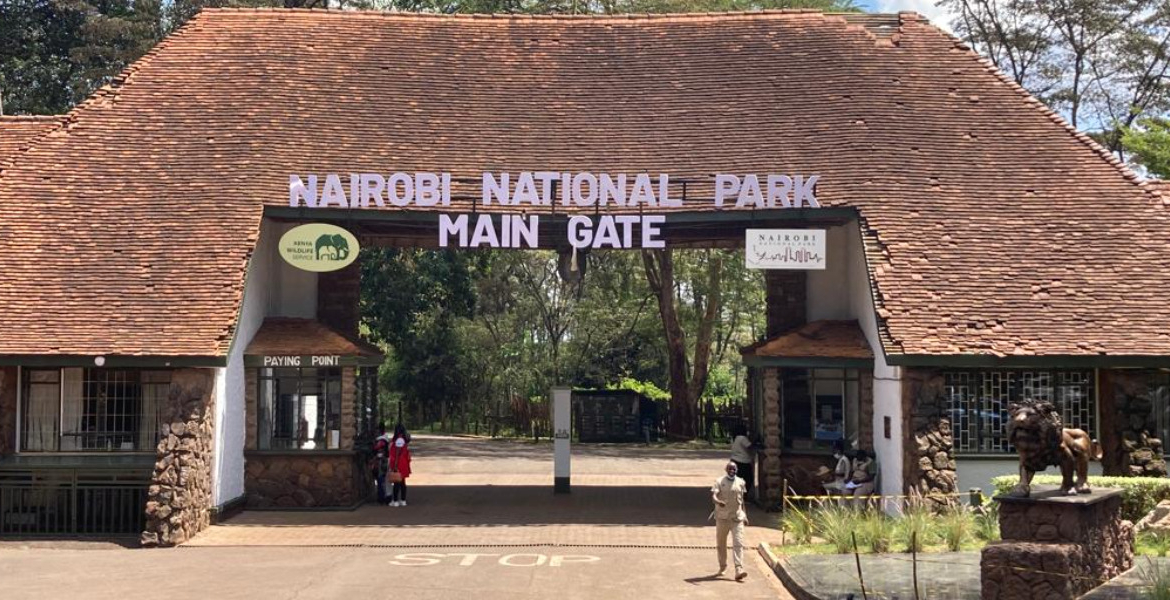 Nairobi National Park KWS Plans Free Entry to Parks for Elderly, Children, and Registered Guides