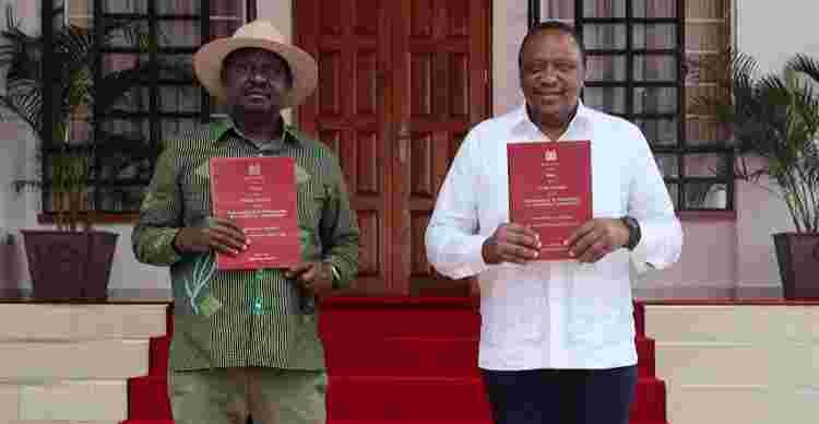 Kenyans in the Diaspora Express Displeasure with BBI Report