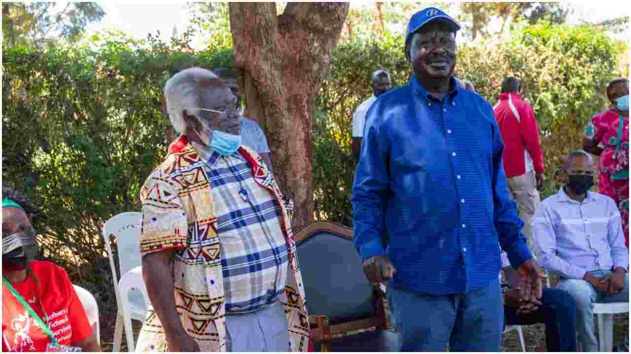 Raila Condemns Meru Senator Mithika Linturi's 'Madoadoa' Remarks