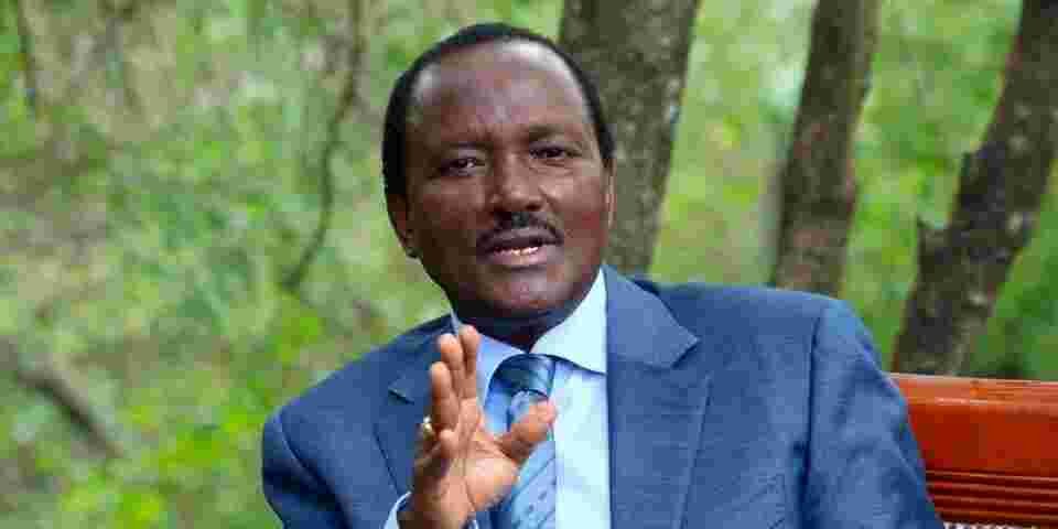 Kalonzo Tells President Ruto to Drop Cabinet Nominees with Integrity Questions to Avoid 'International Shame'