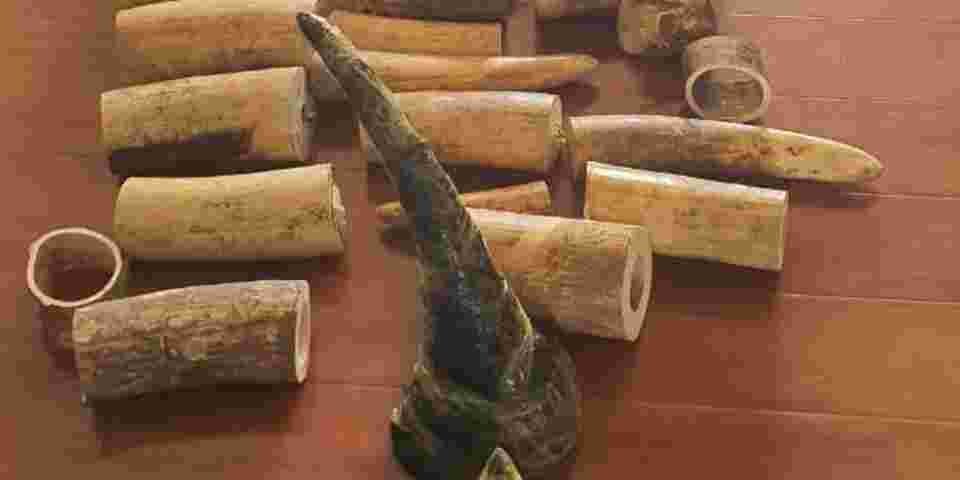Chinese Man Found Dead in a Nairobi Apartment, Game Trophies Recovered