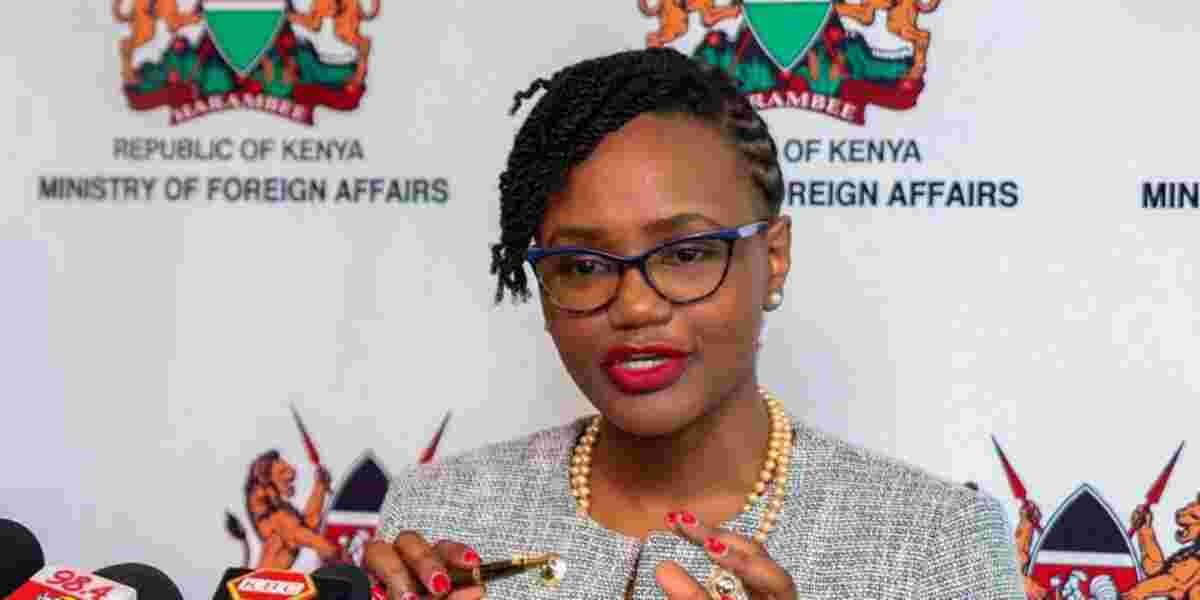 Diaspora Kenyans to PS Njogu: Stop Engaging Cons to Represent Us