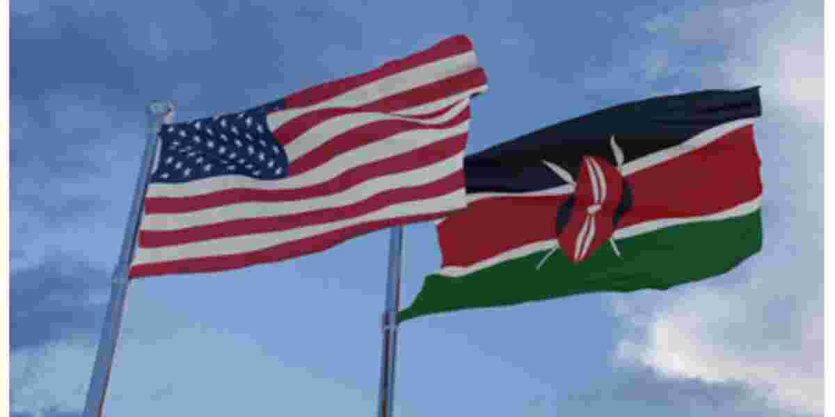 Kenyans in the US Ranked Third Most Industrious Foreigners