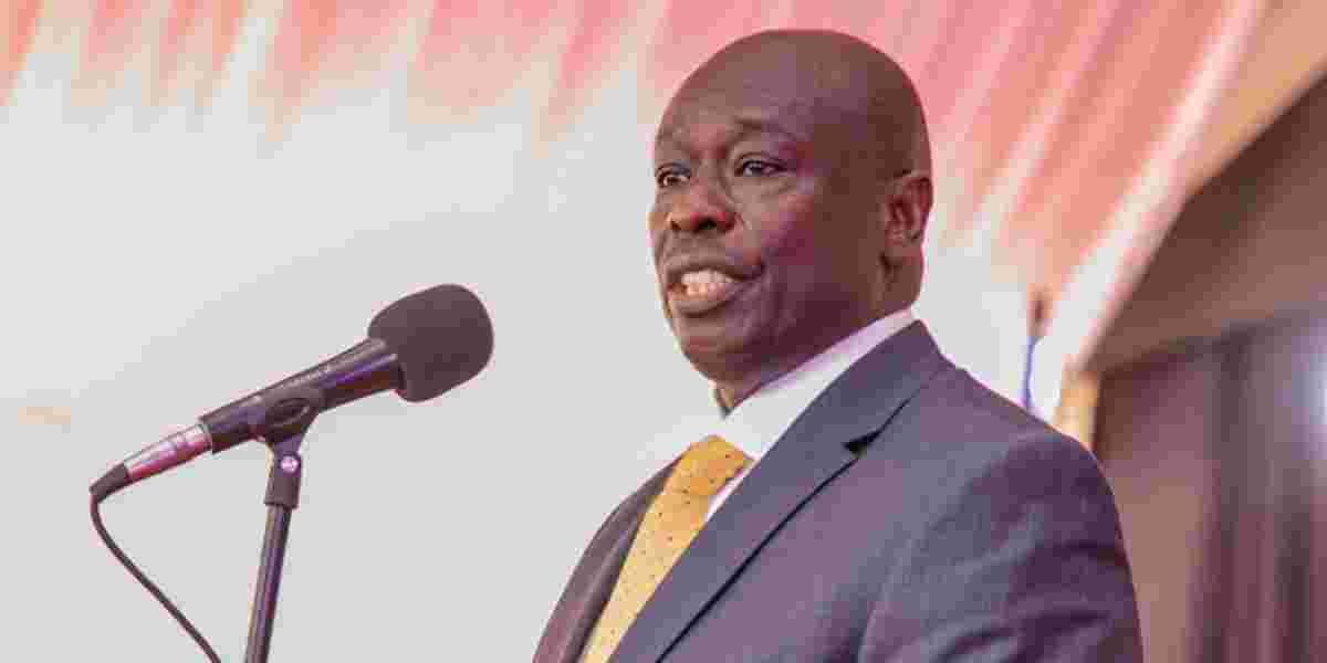 I'm the Custodian of 'Government Shares' Book - Gachagua