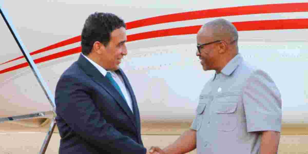 Over 10 Presidents Jet into Kenya to Attend AU Meeting