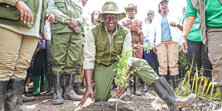 President Ruto's Environmental Leadership Lands Him on Time Magazine's Top 100 List 